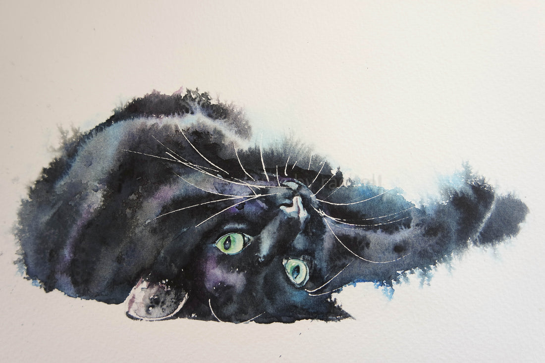 Wet in wet, (or a very soggy moggy)