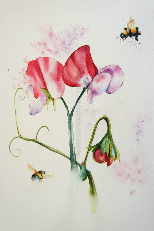 Sweet peas and bumble bees
