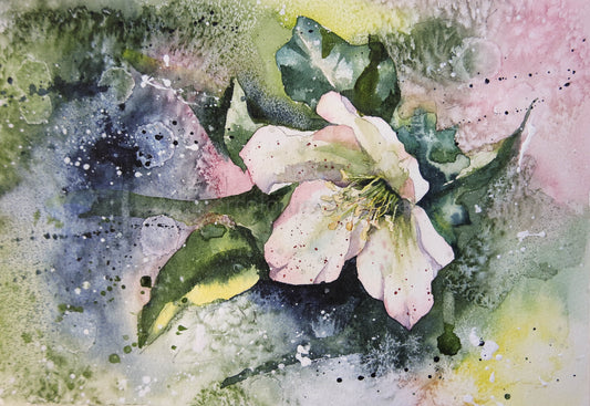 What comes first the background or the subject ? ( Hellebore)