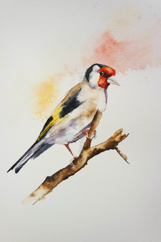 Goldfinch