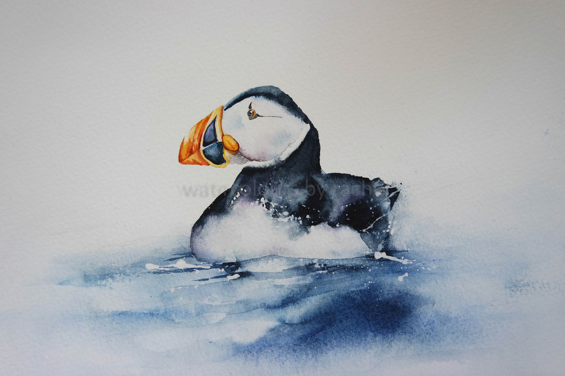 Painting a puffin