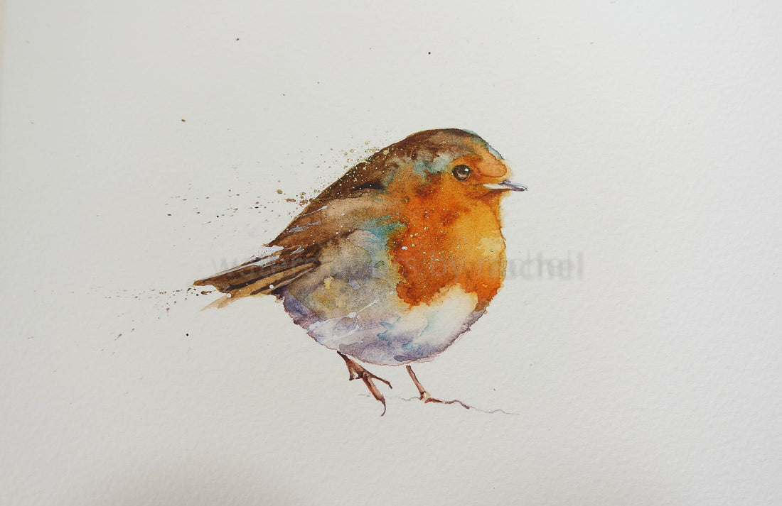 Painting a robin...for Christmas maybe?