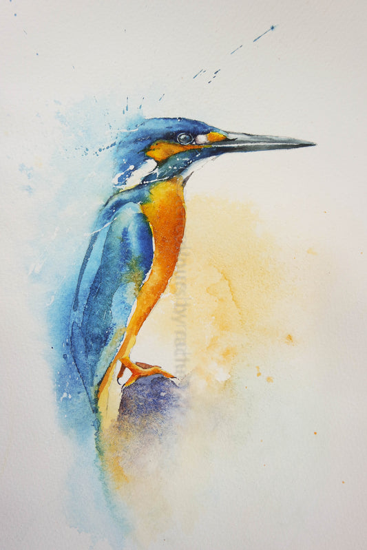 Late summer days, a kingfisher