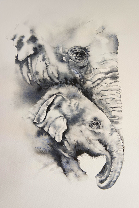 Gill's Elephants