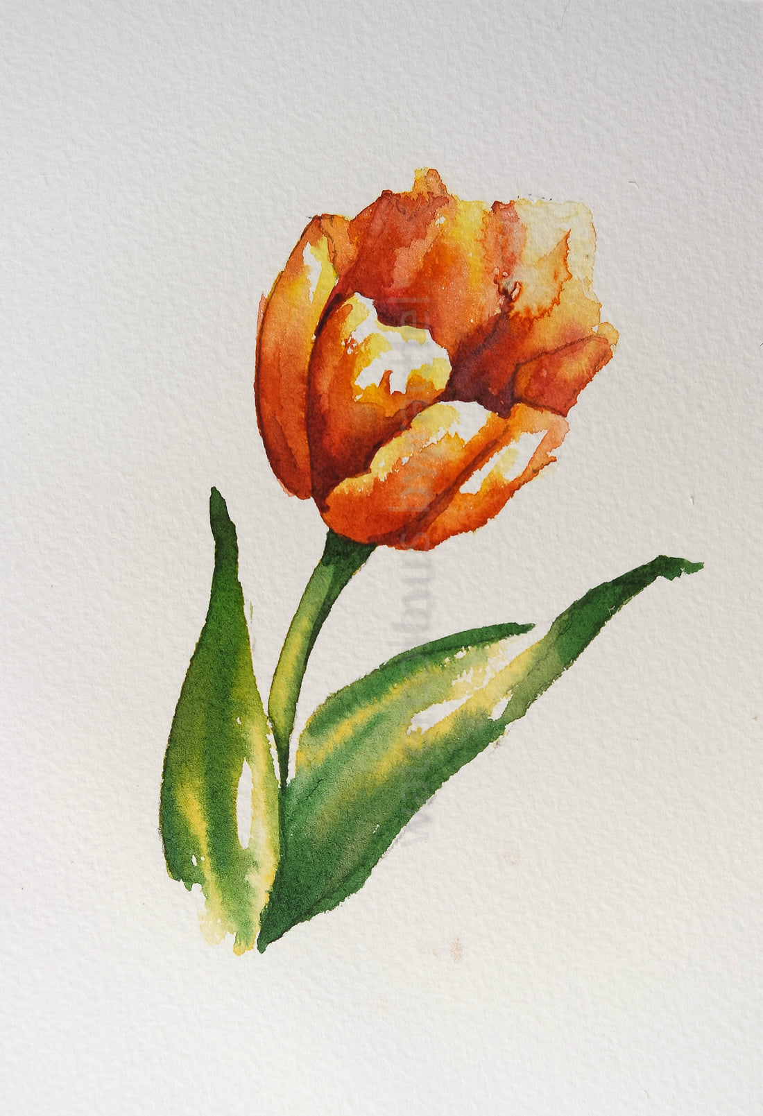 Dipping my brush back in the water   ( a simple tulip )