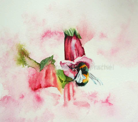 A small foxglove painting to try