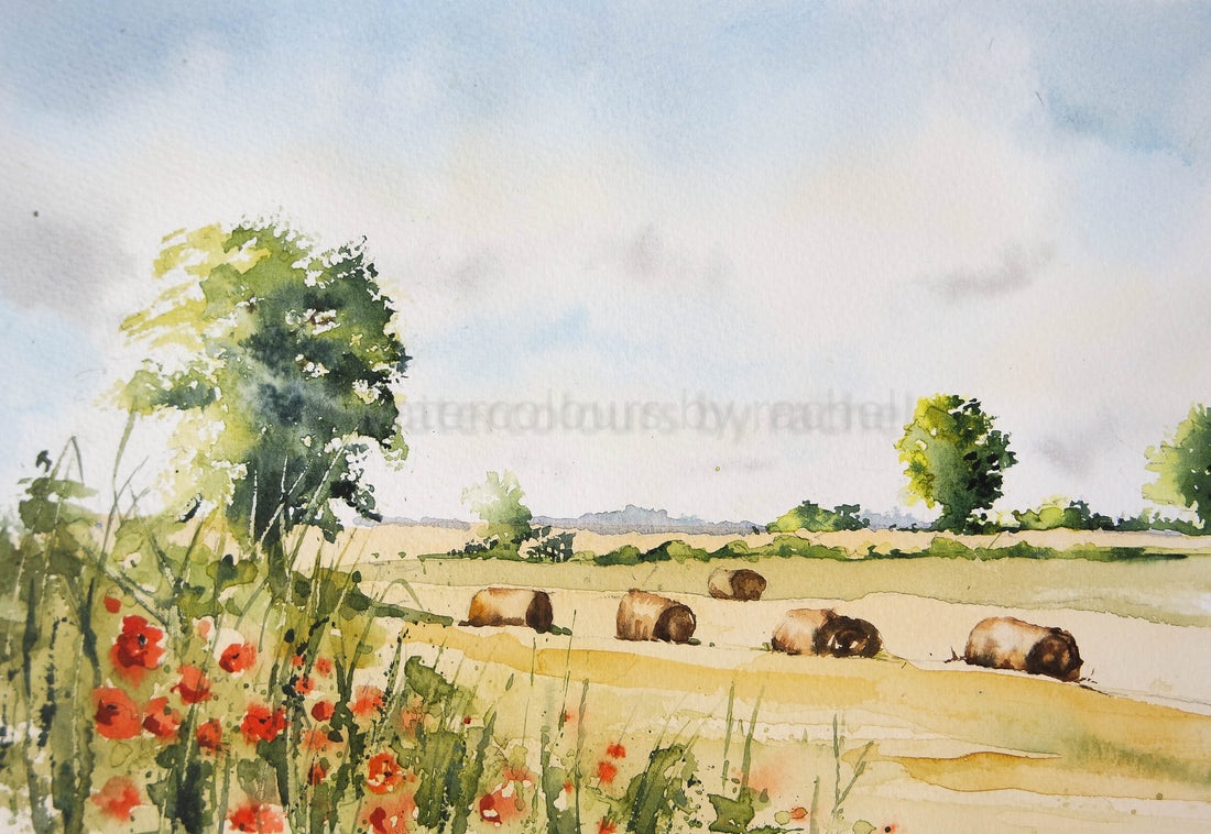 Summer sun, hay meadows and poppies