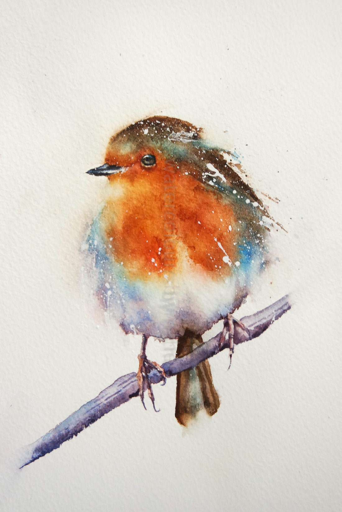 A new robin from an old one...