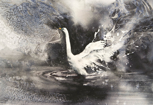 Painting swans with a dramatic background