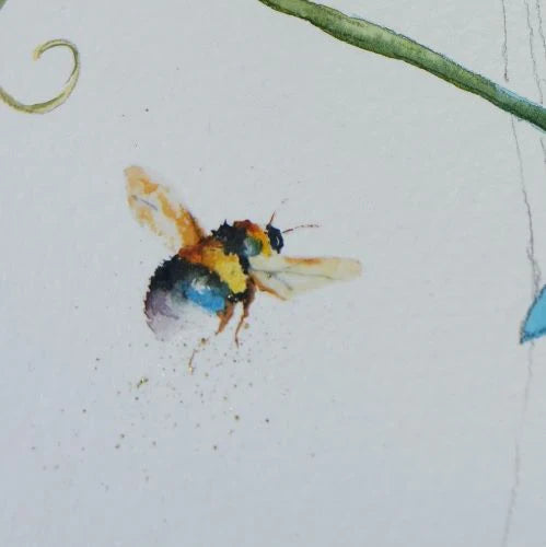 A Simple Bee