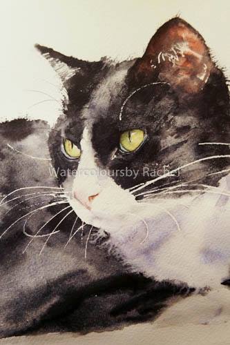 How I paint a commission....