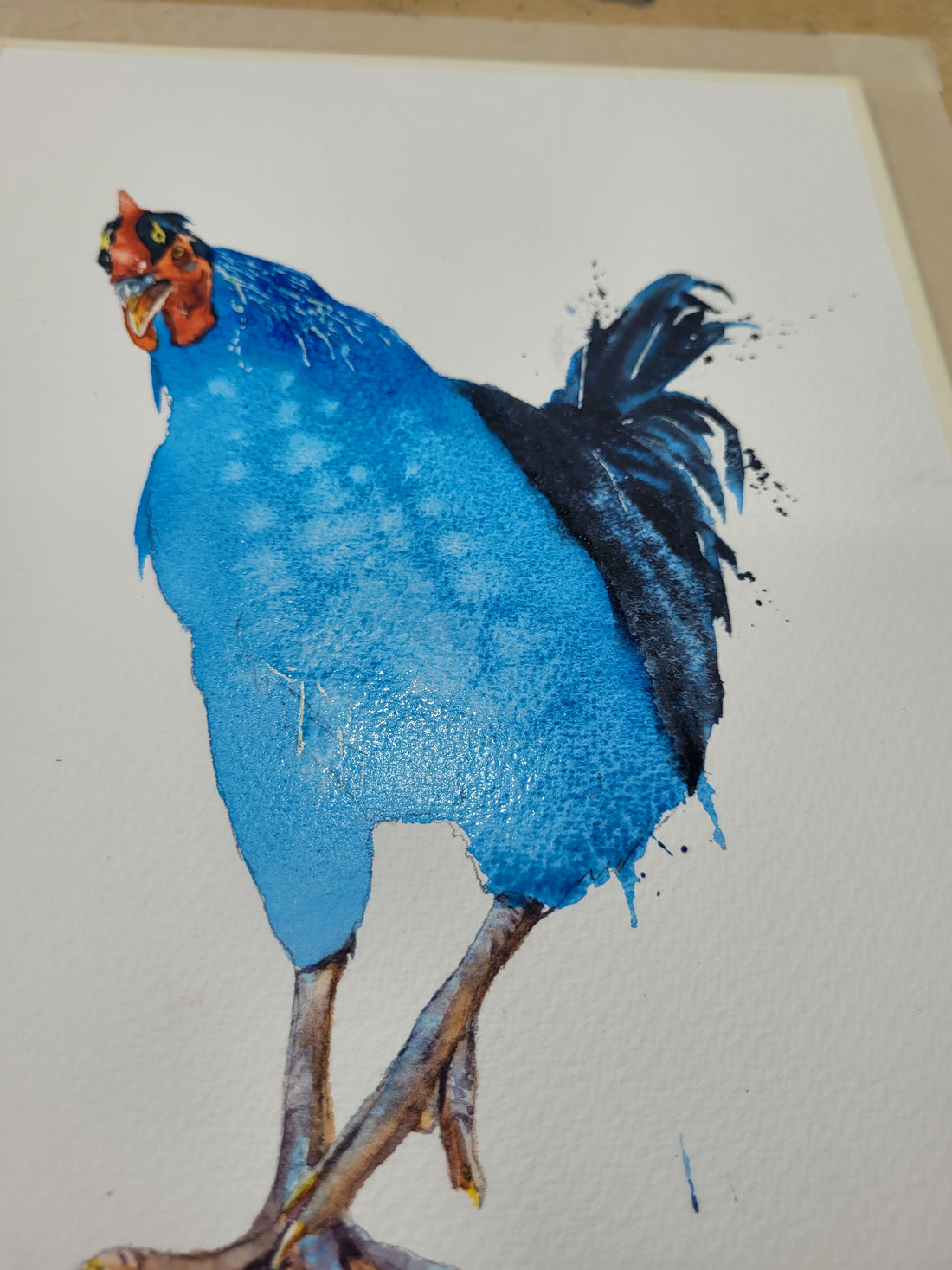 Painting a chicken ( you did what ?)