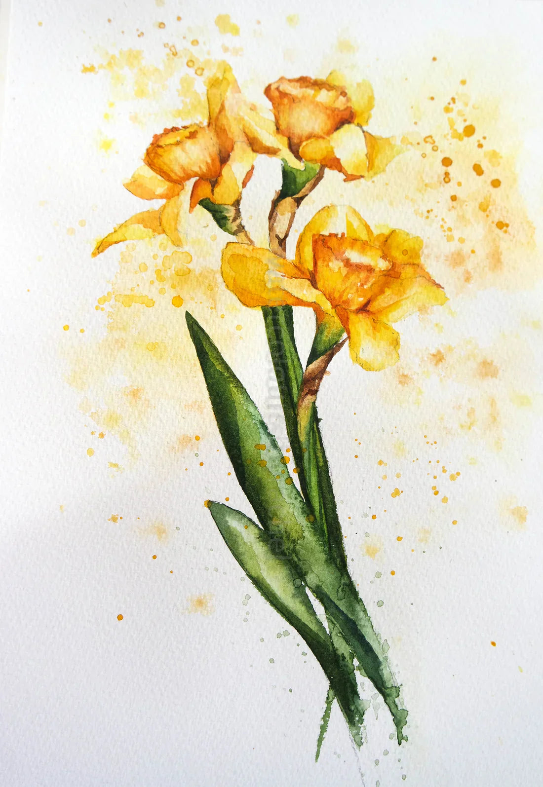 Spring Is Springing Up Spring is springing. – watercolours by rachel
