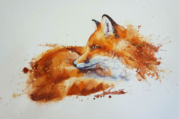 Foxy