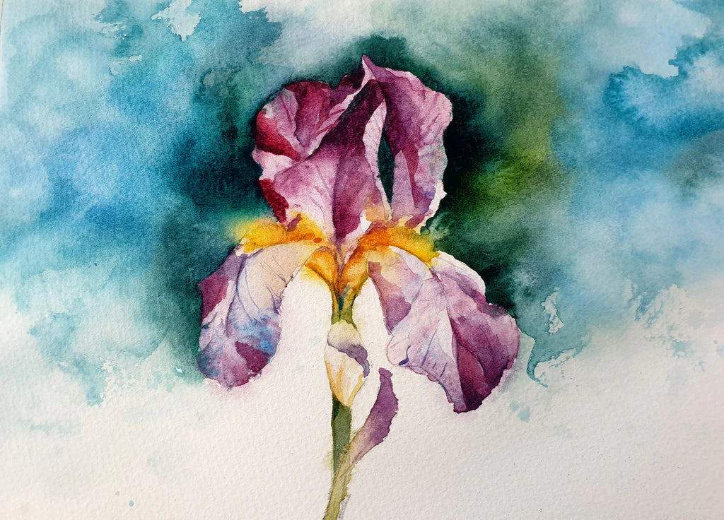Bearded Iris