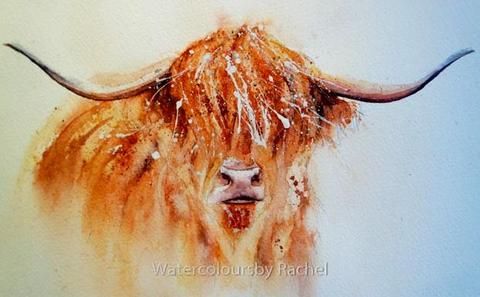 How to paint a highland cow, and have some fun!