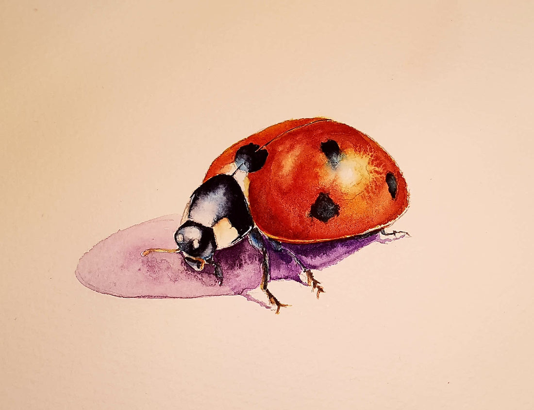 How to paint a ladybird