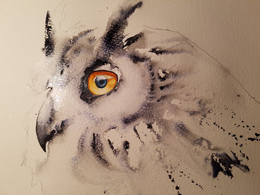 Owl Eye