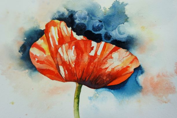 Painting a poppy by the seat of your plants!