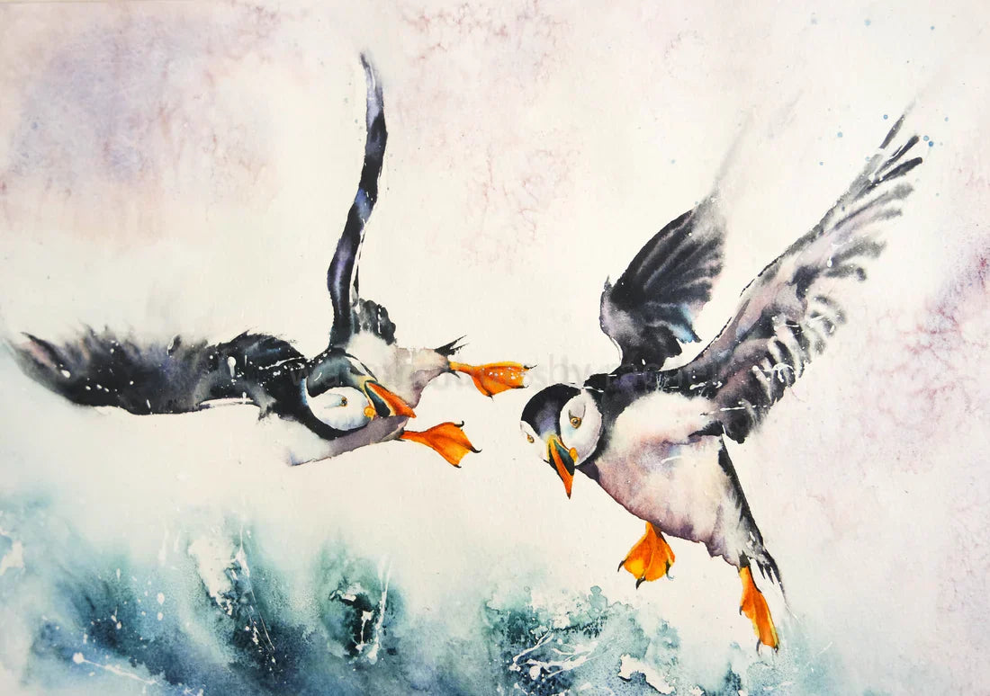 Painting not one puffin but two !