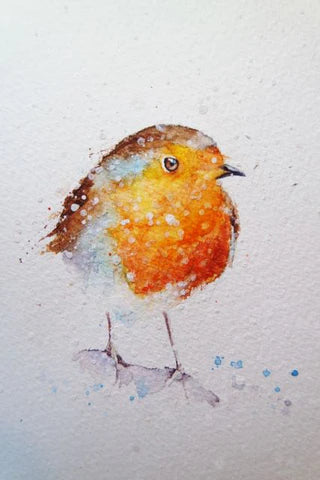 A little robin, I think anyone could try.