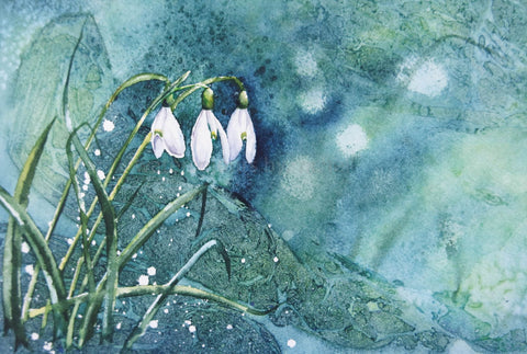 A blog for a dark January Day