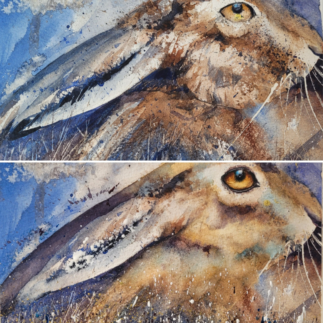 Watercolour Surgery, a hare 10 years in the making !