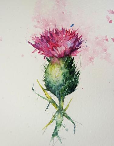 Painting a thistle