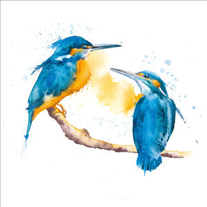 Perfect pairs, cards with pairs on each card, elephants, kingfishers blue tits and puffins