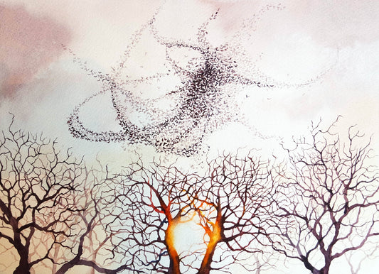 Murmuration ( Limited Edition Print )