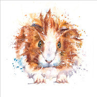 Guinea Pig and Black Cat ( 2 cards)