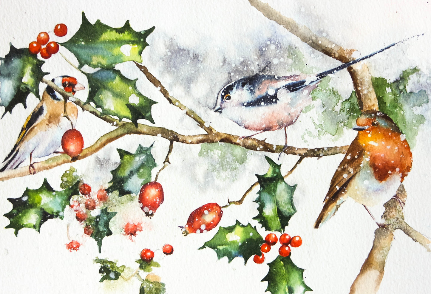 Robins and Friends ( 4 cards)