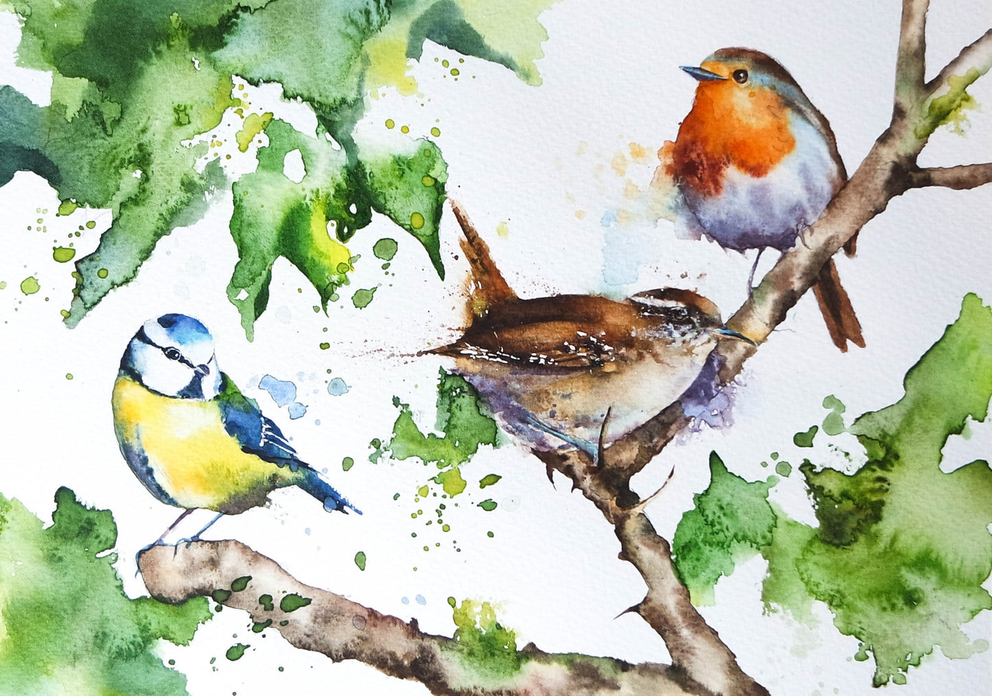 Robins and Friends ( 4 cards)