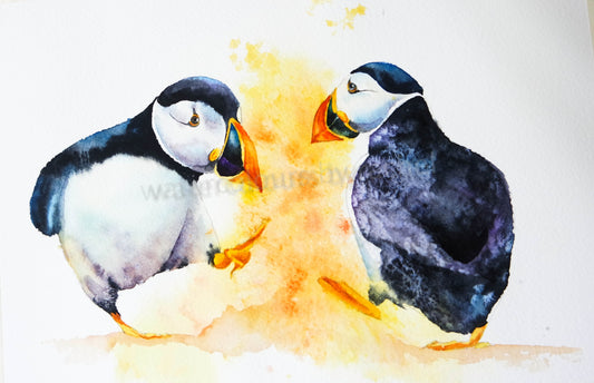 Dancing Puffins