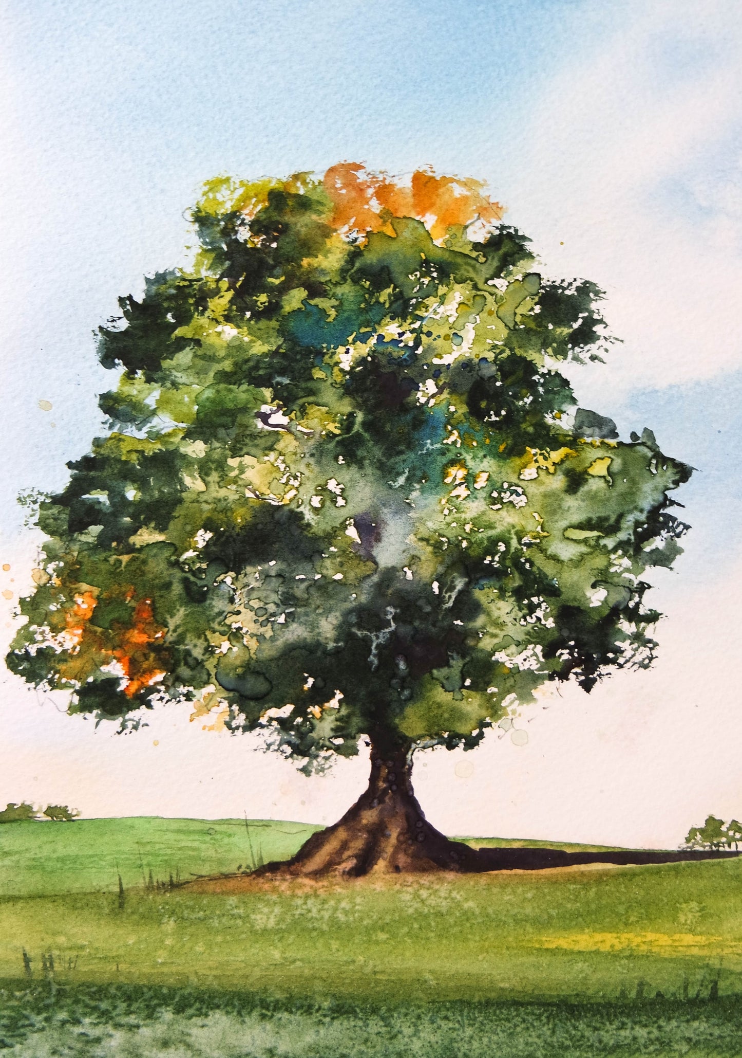 Devon Tree 2