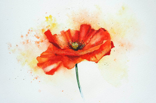 Poppy  (£20 of the sale price will be donated to the Royal British Legion Poppy Appeal )
