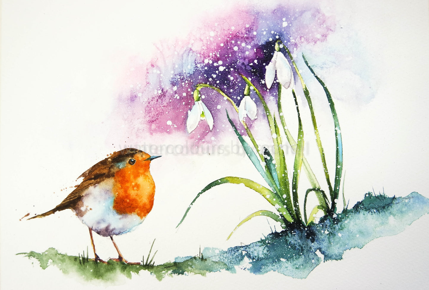 Snowdrops and a robin