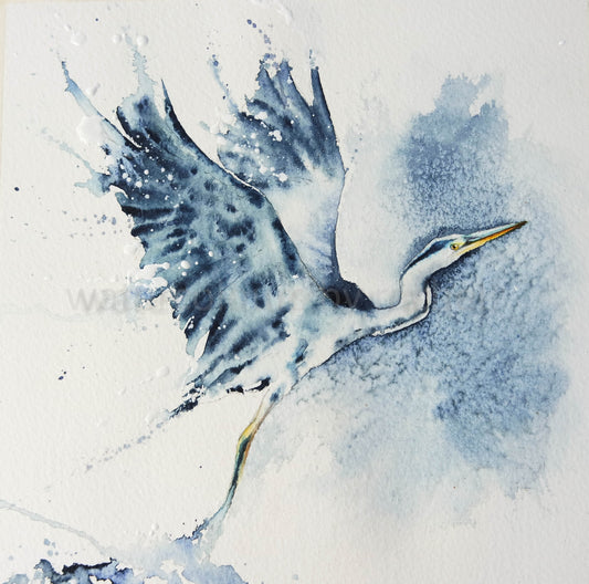 Heron flight ***SQUARE COLLECTION***