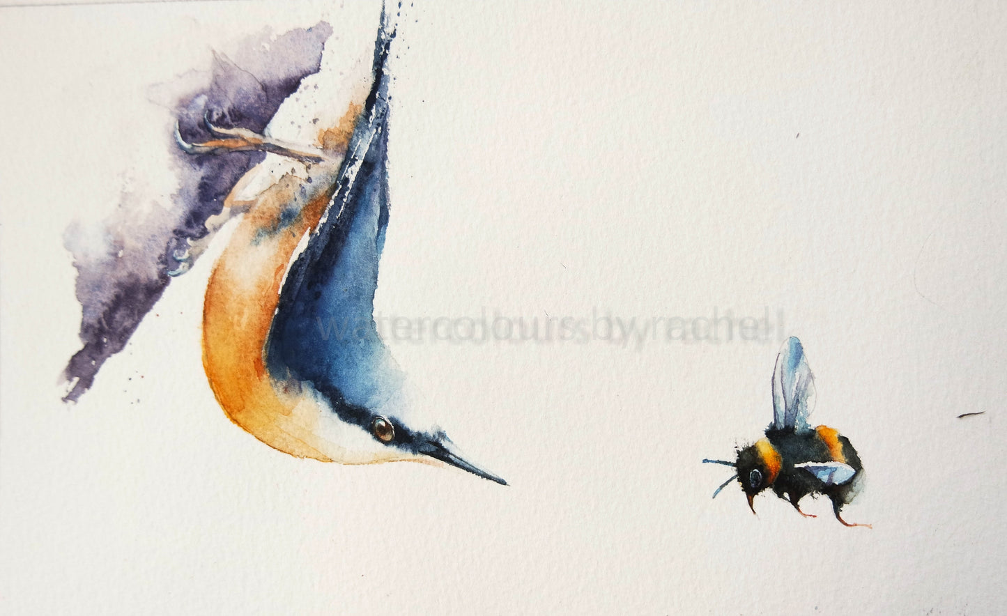 ***CHRISTMAS STUDIO SALE *** Nuthatch and a bumble bee