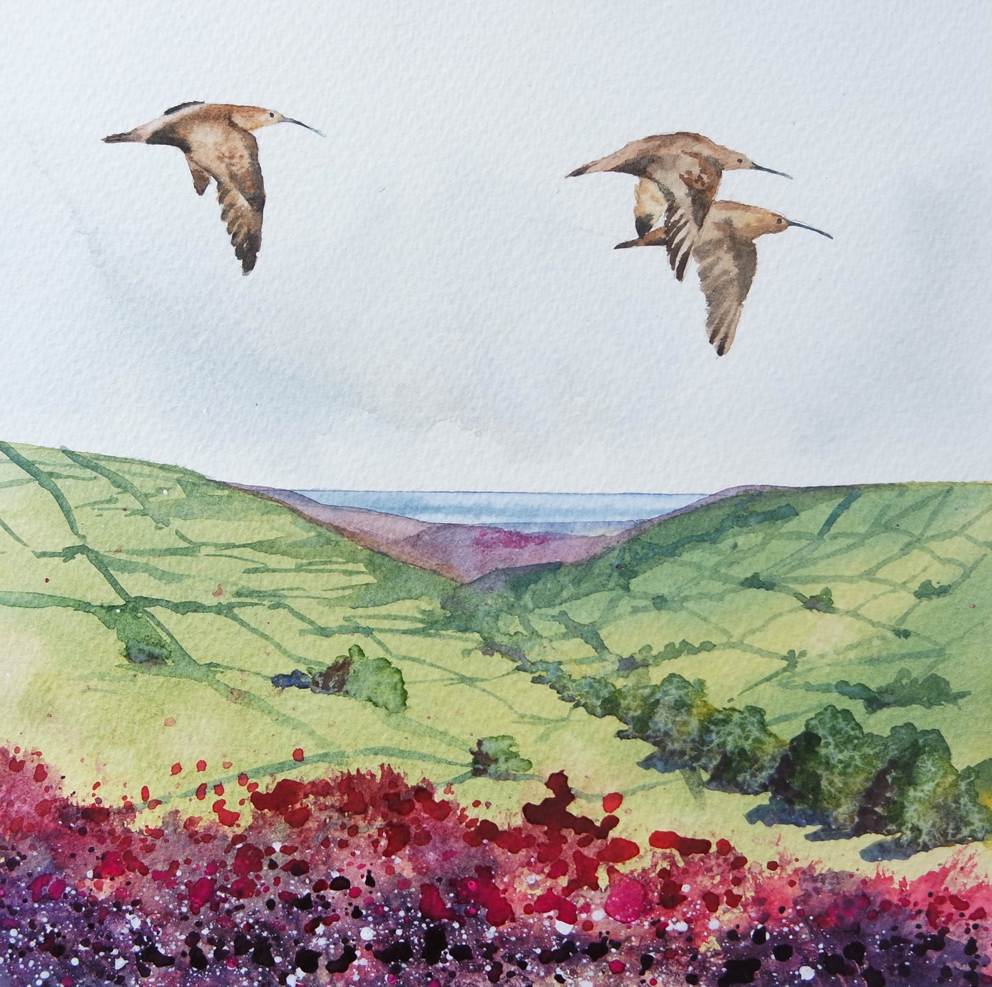 ***NEW*** Curlews over the Moors GREAT PRICE JUST £75 !