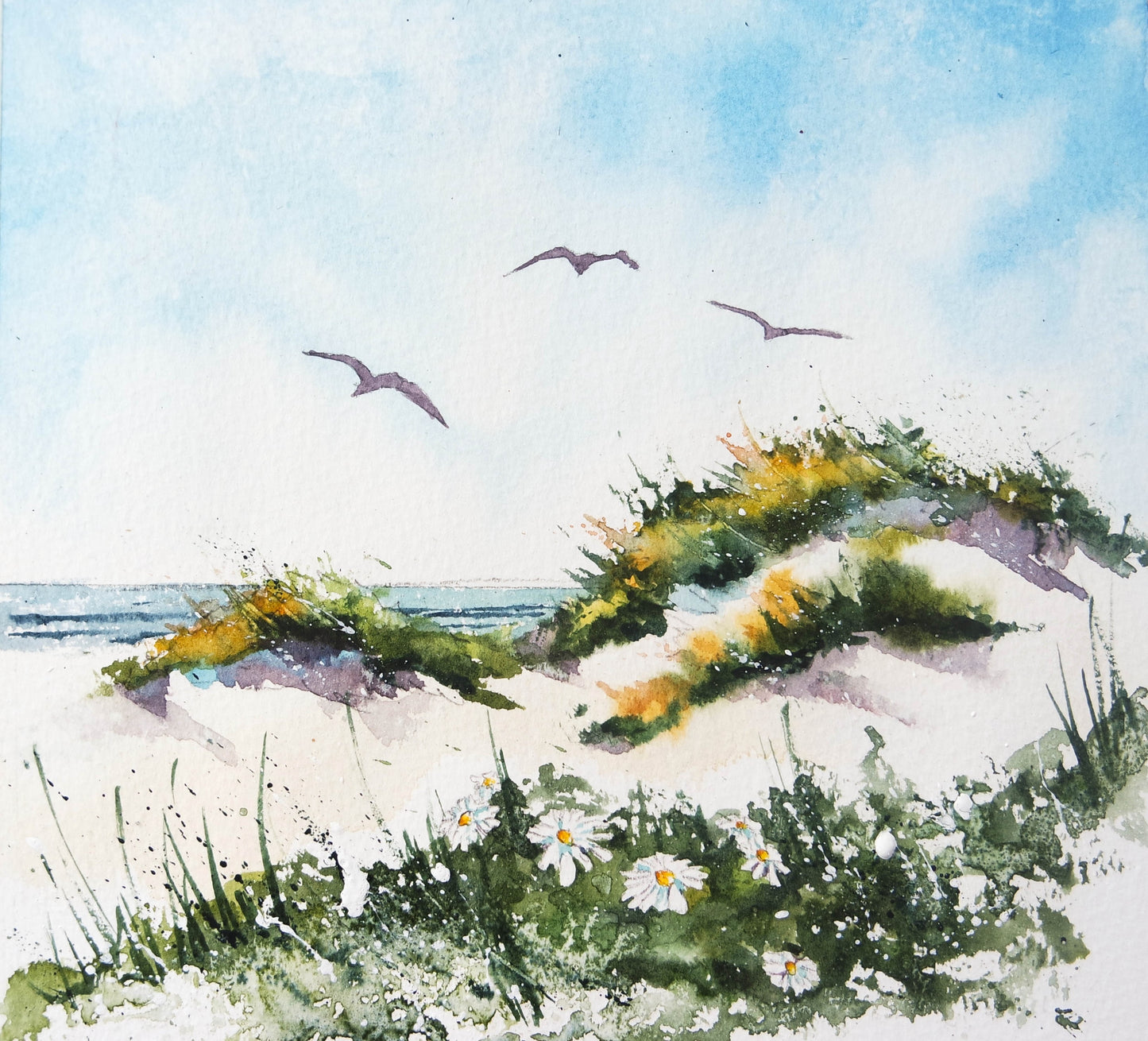***NEW*** Sea, hills, wildflowers and birds (5 cards)