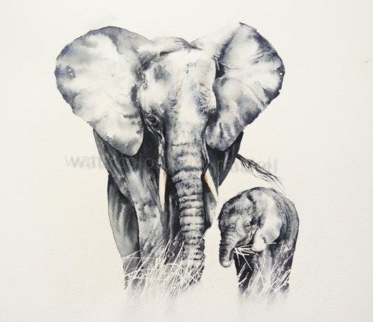 Mother and calf ( elephants) **MOTHERS DAY SPECIAL **