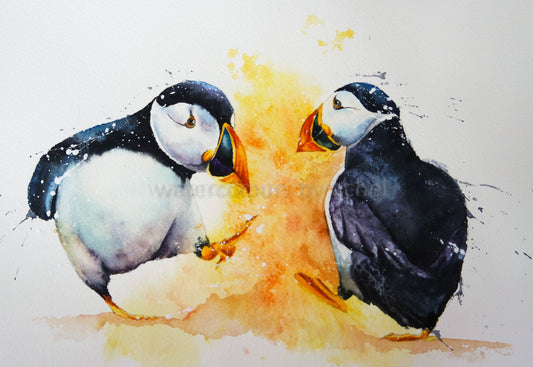 Dance like no one is watching ( puffins)