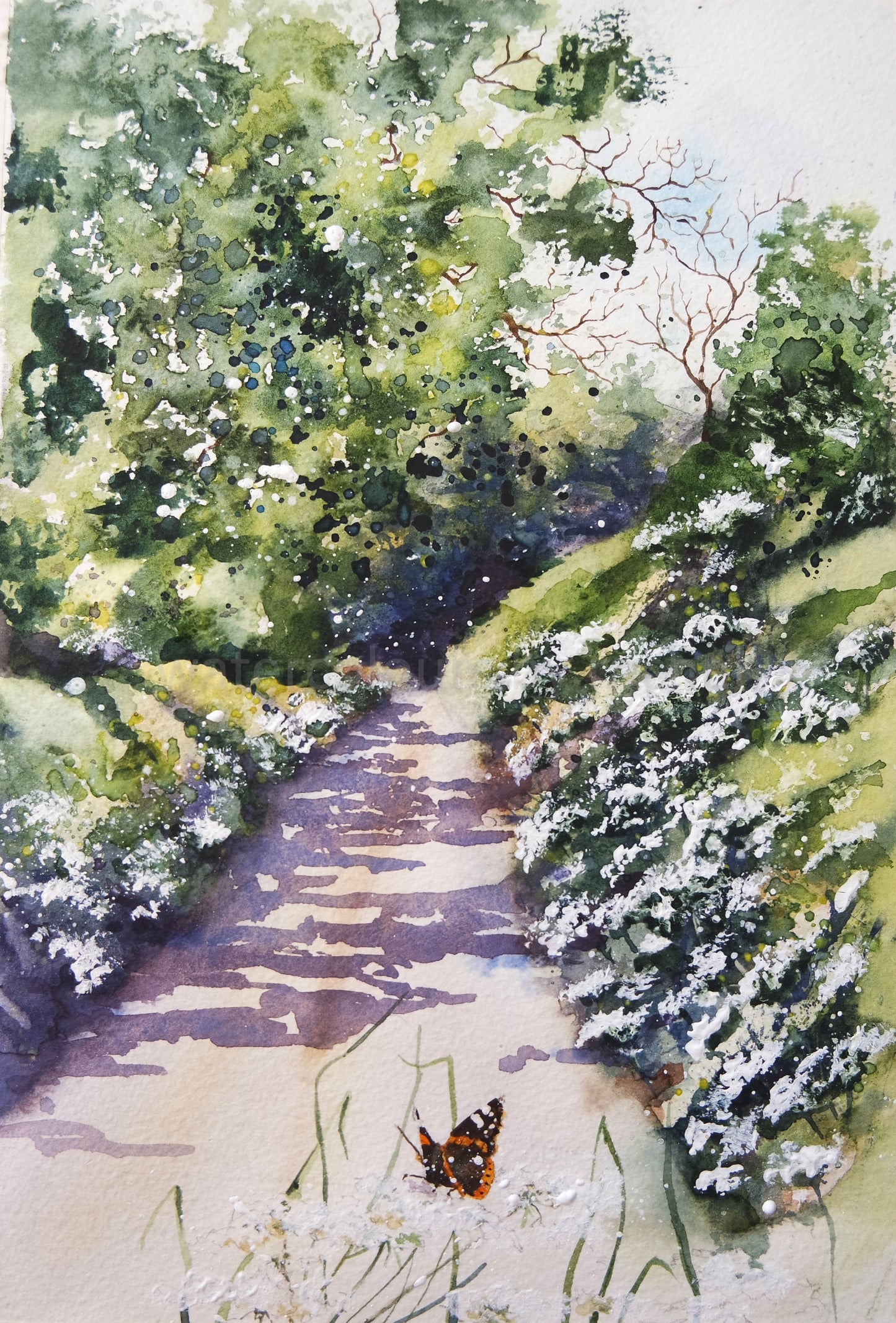 Butterfly Lane