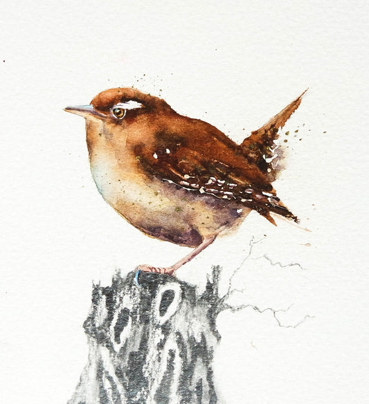 Wren