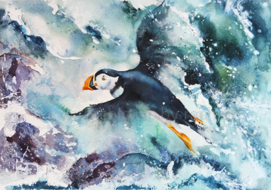 Soaring Above! ( Puffin)
