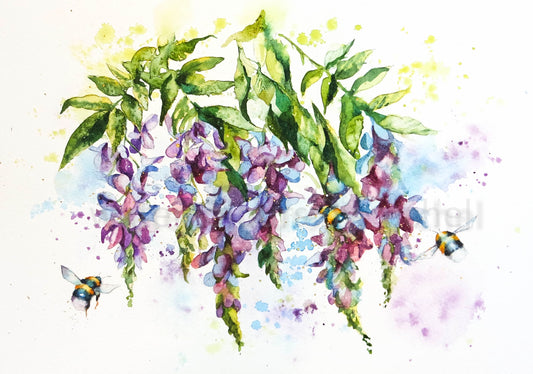 Buzzing wisteria
