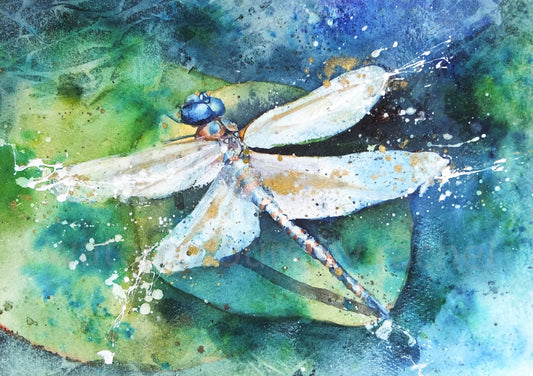 Dragonfly Pond