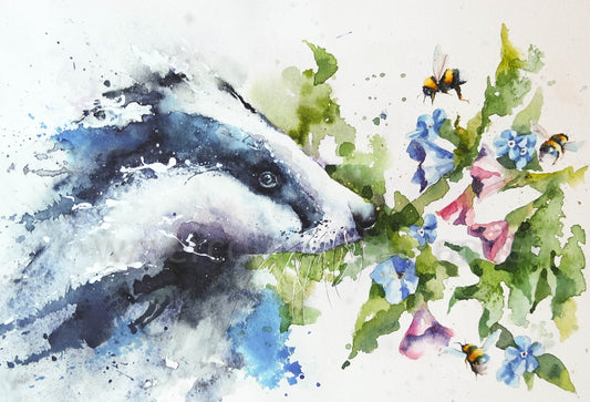 Spring Badger