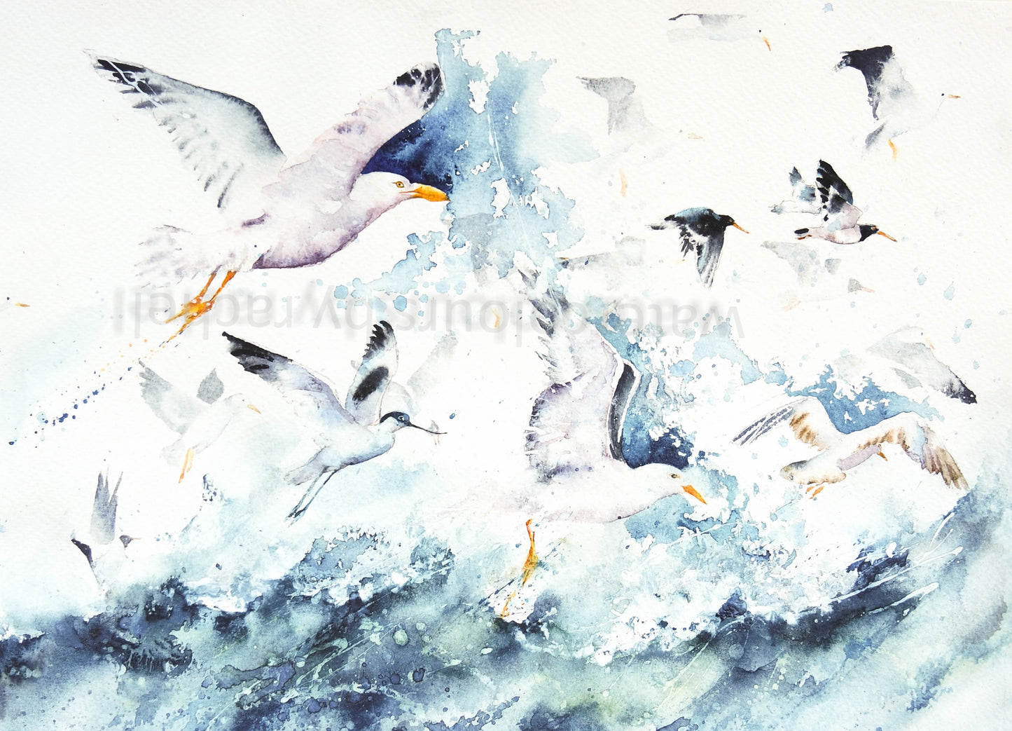 A cacophony of sea birds